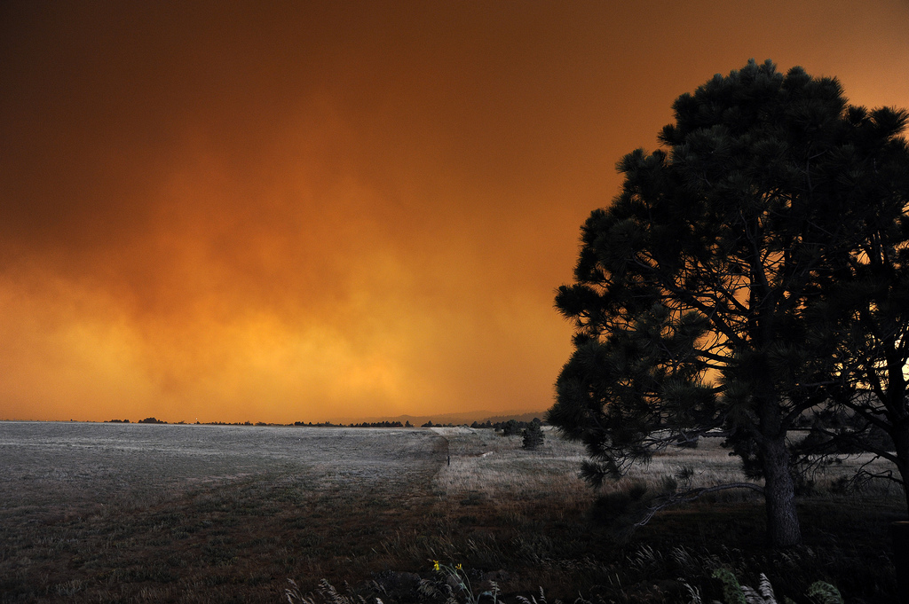 The Colorado Fires and the Climate