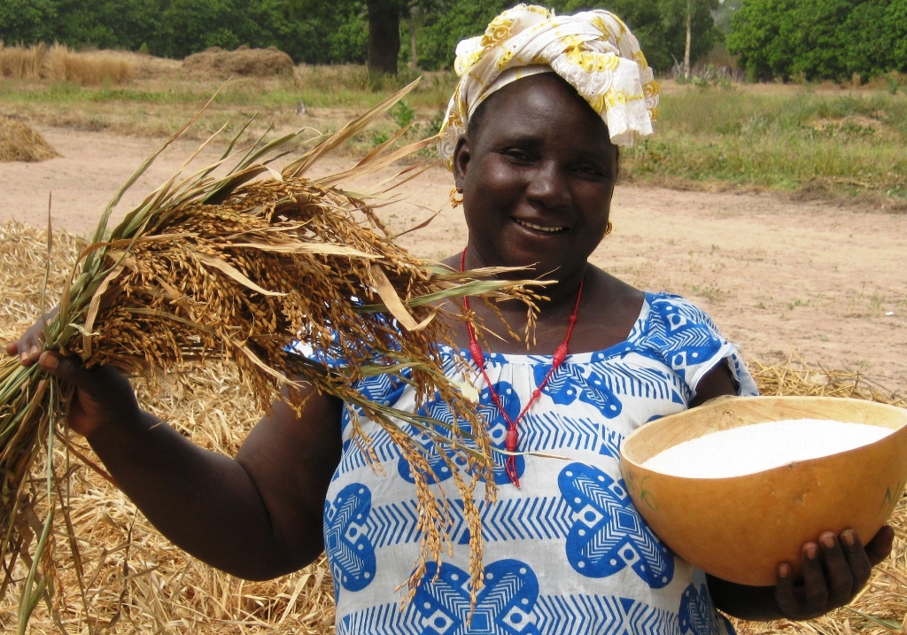 Event Review: Food Security in Senegal