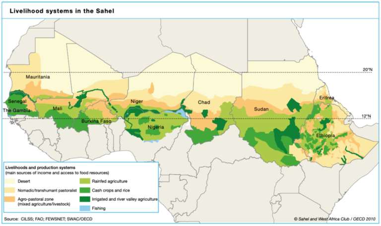 The Sahel: A Neglected Crisis in Africa | ASP American Security Project